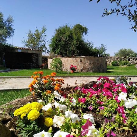 El Lagar Del Abuelo En Los Arribes Del Duero, Badilla, Zamora Dış mekan fotoğraf