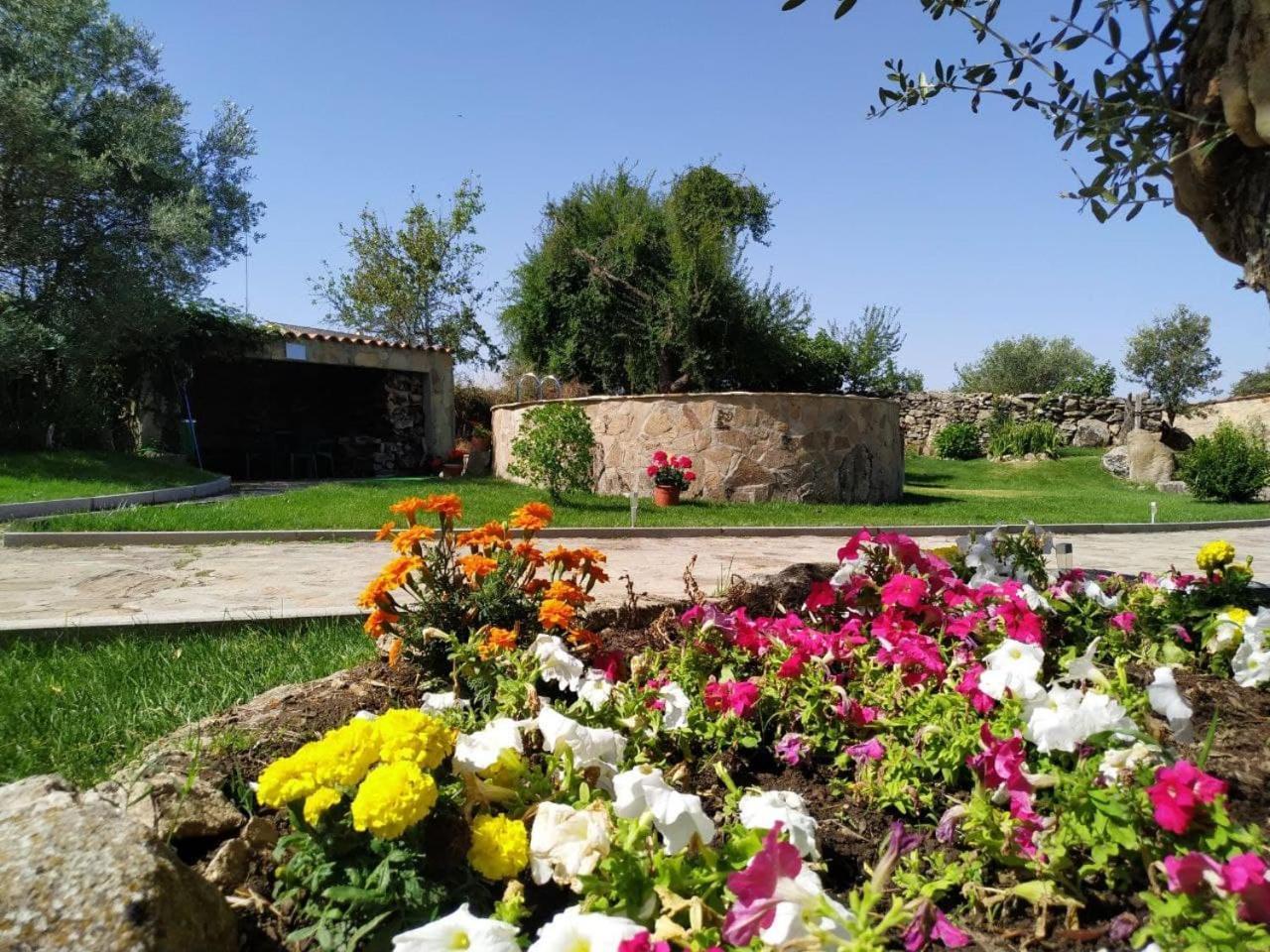 El Lagar Del Abuelo En Los Arribes Del Duero, Badilla, Zamora Dış mekan fotoğraf