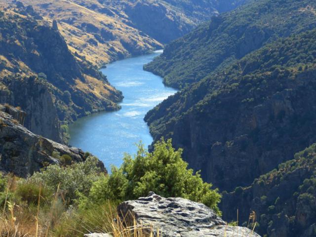 El Lagar Del Abuelo En Los Arribes Del Duero, Badilla, Zamora Dış mekan fotoğraf
