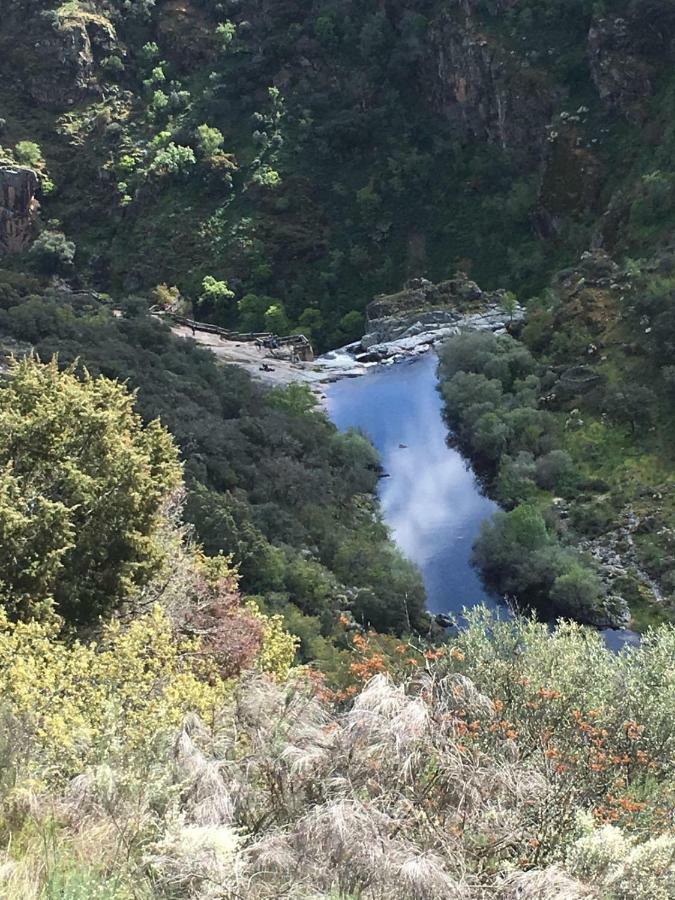 El Lagar Del Abuelo En Los Arribes Del Duero, Badilla, Zamora Dış mekan fotoğraf